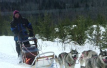 Deux jours de raid en traîneau à chiens sur le lac gelé du Taureau