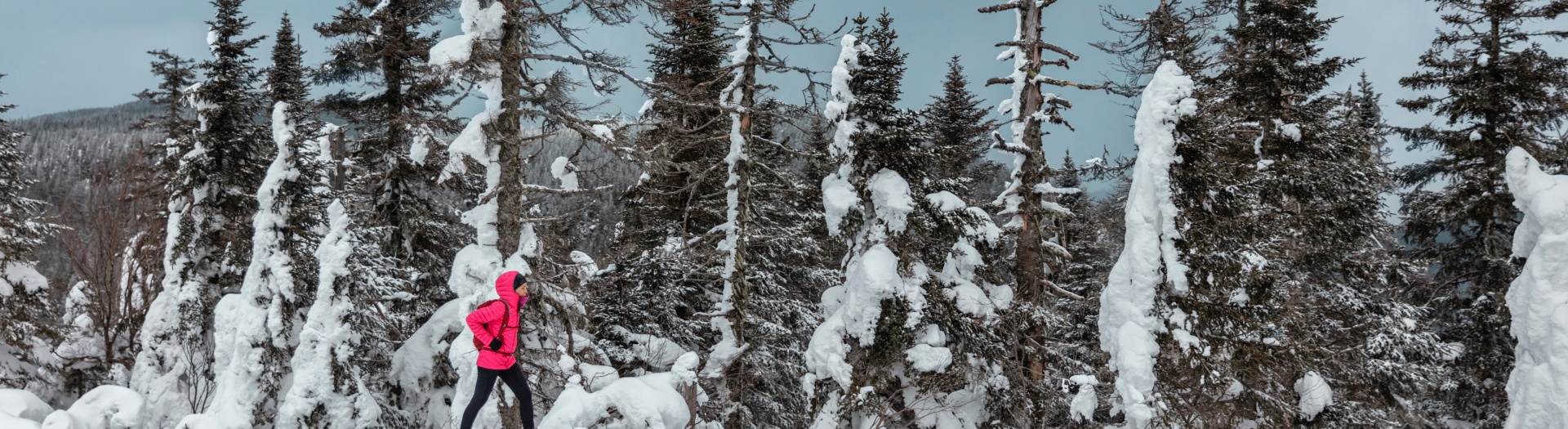 Déconnexion en plein hiver au Québec