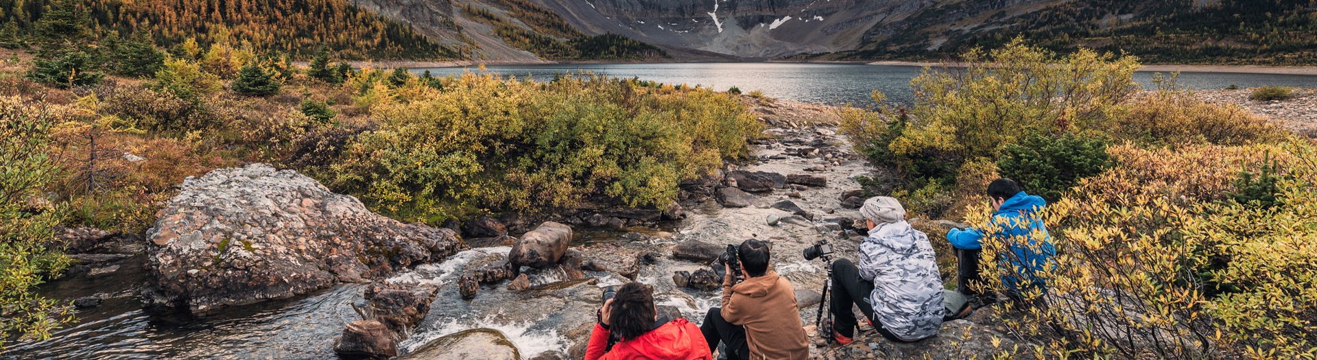 Ours, randonnée et canoë : l'aventure en famille au Québec