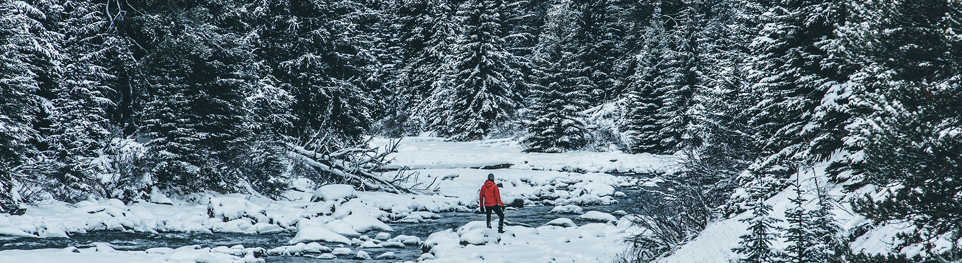 L'Ouest canadien en hiver