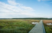 Digby / Saint John