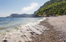 Randonnée à Cap Gaspé dans le parc national Forillon