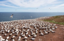 Sainte-Anne-Des-Monts / Percé