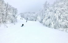 Head to the Laurentians