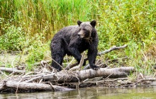 Mauricie national park