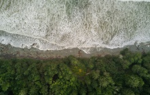 Tofino