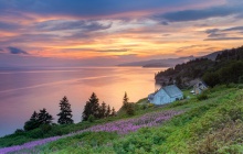 Randonnée à Cap Gaspé dans le parc national Forillon