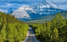 Route pour le parc national de Jasper via Icefield Parkway