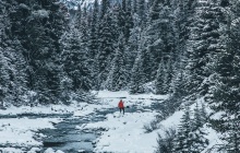 Banff / Revelstoke