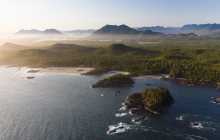 Tofino