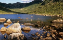 Visite du parc national de la Gaspésie par l'ascension du Mont Albert