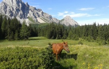 Exploration du parc National des Glaciers