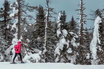 Déconnexion en plein hiver au Québec