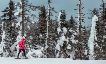 Déconnexion en plein hiver au Québec